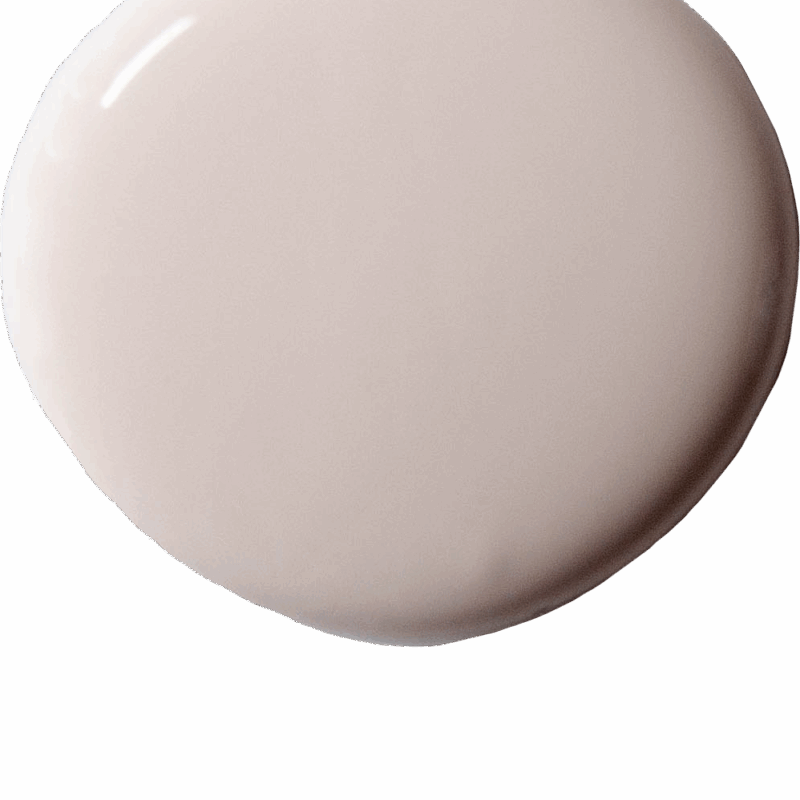 Pointe Silk 120 ml - farba do ścian Annie Sloan