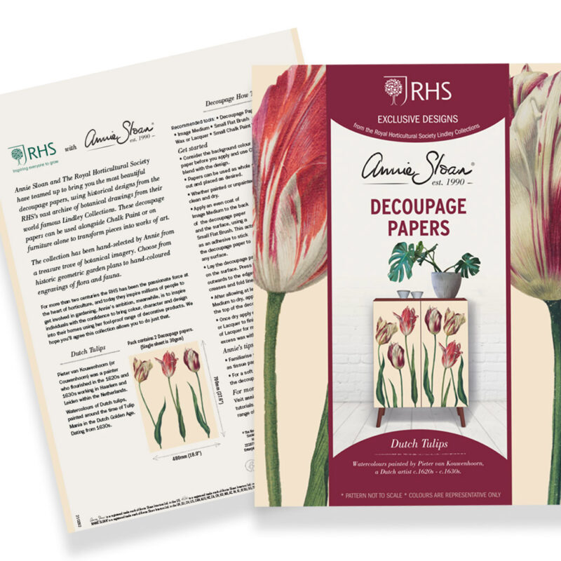 PAPIER DO DECOUPAGE "Dutch Tulips" - obrazek 4